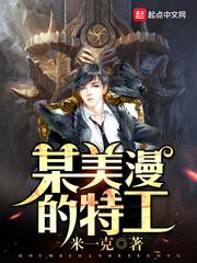 某美漫的特工 TXT